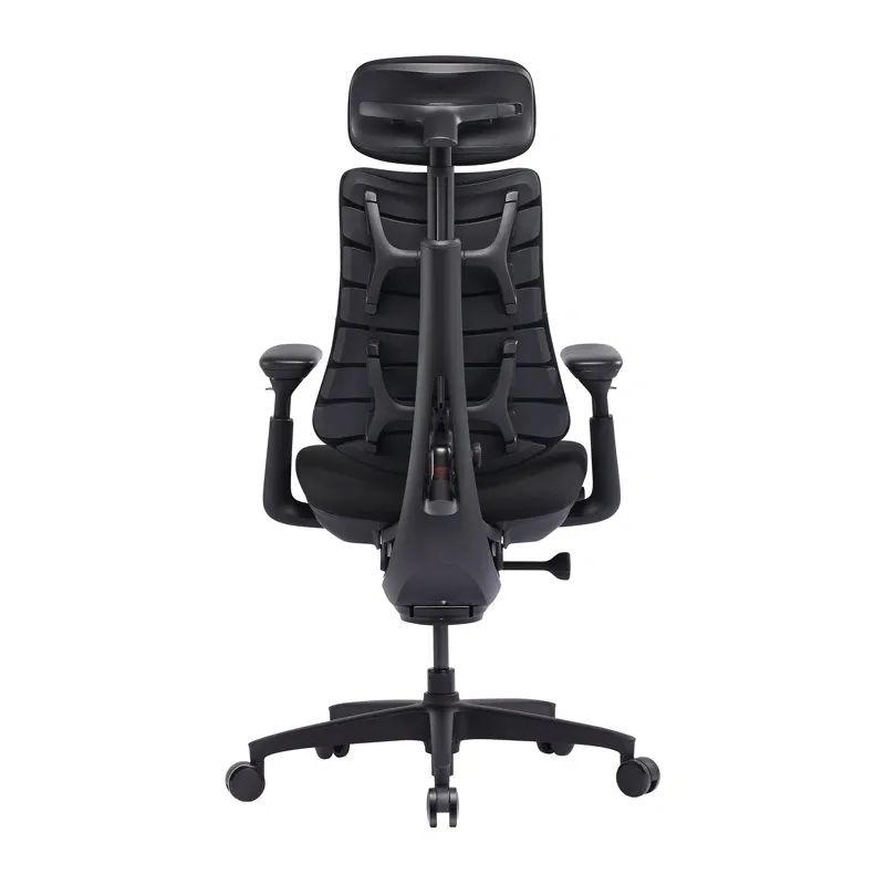 LiberNovo Omni SE 48 cm Ergonomic Chair (Black)